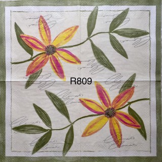 Decorative Napkins R809