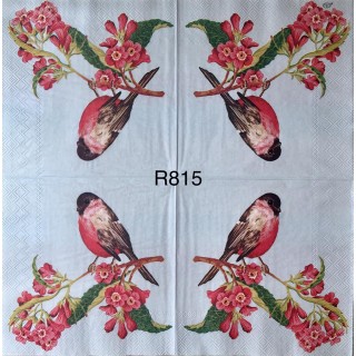 Decorative Napkins R815