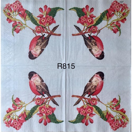 Decorative Napkins R815