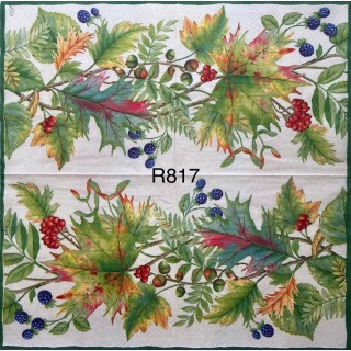 Decorative Napkins R817