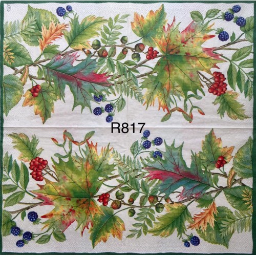 Decorative Napkins R817