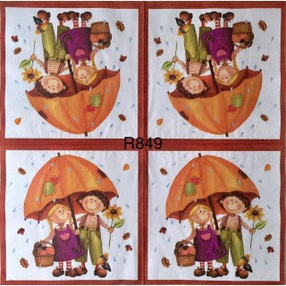 Decorative Napkins R849