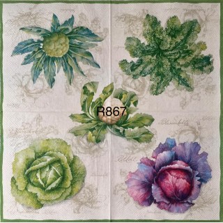 Decorative Napkins R867