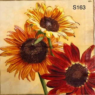 Decorative Napkins S163