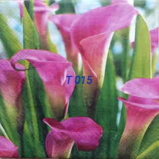 Decorative Napkins T015