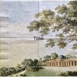 Decorative Napkins T056