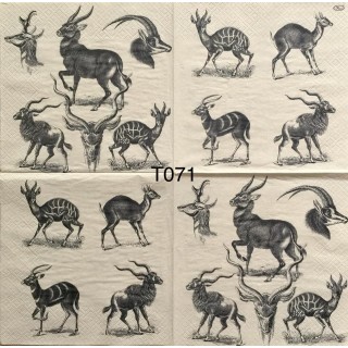 Decorative Napkins T071