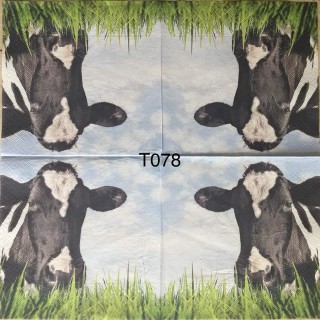 Decorative Napkins T078