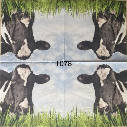 Decorative Napkins T078