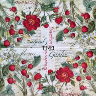 Decorative Napkins T143