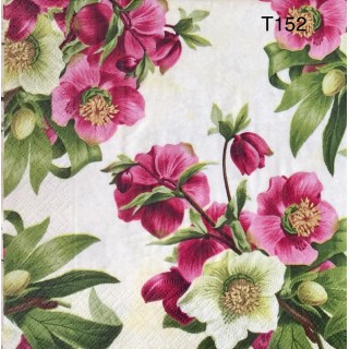 Decorative Napkins T152