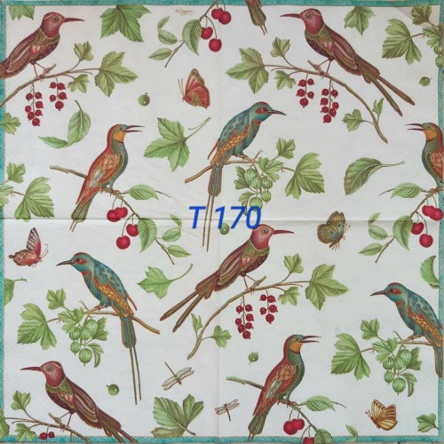 Decorative Napkins T170