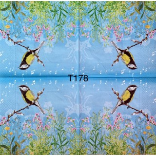 Decorative Napkins T178