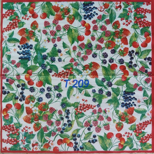 Decorative Napkins T209