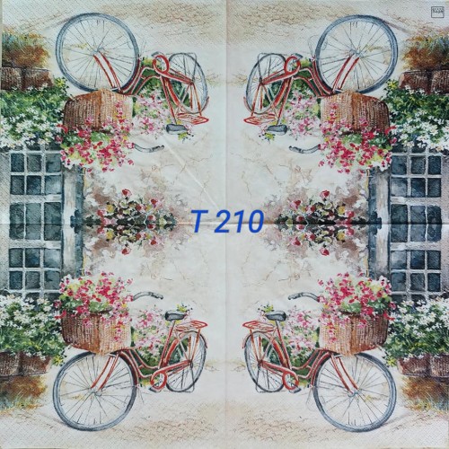 Decorative Napkins T210