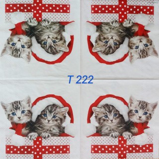 Decorative Napkins T222