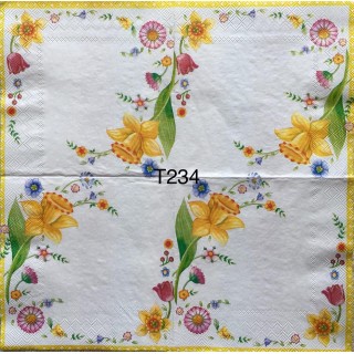 Decorative Napkins T234