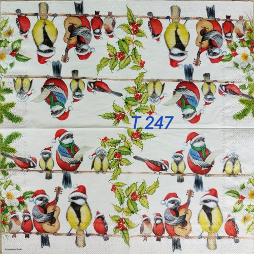 Decorative Napkins T247