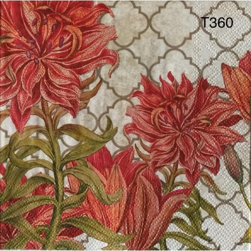 Decorative Napkins T360