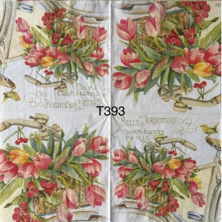 Decorative Napkins T393