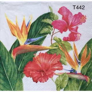 Decorative Napkins T442