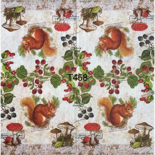 Decorative Napkins T458