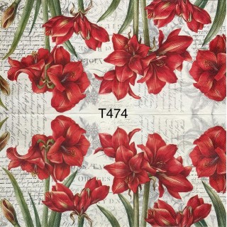 Decorative Napkins T474