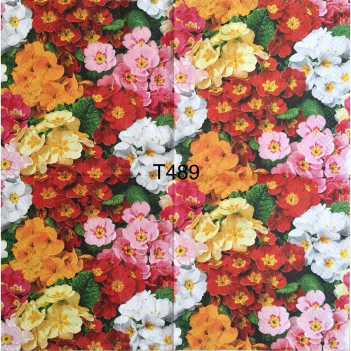 Decorative Napkins T489