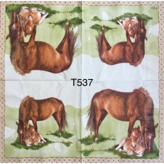 Decorative Napkins T537