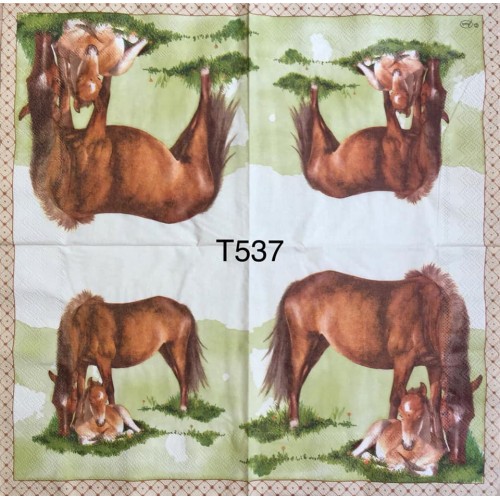 Decorative Napkins T537