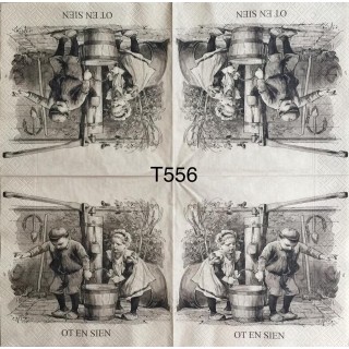 Decorative Napkins T556