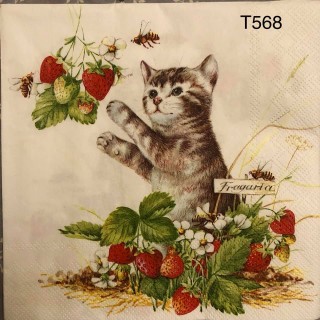 Decorative Napkins T568