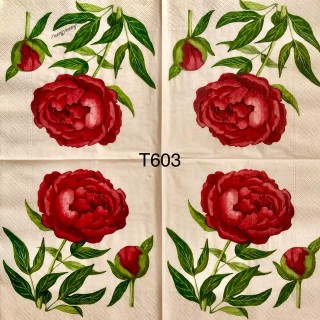 Decorative Napkins T603