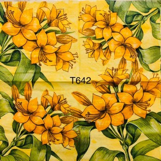 Decorative Napkins T642